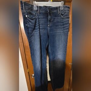 Like New Maybe Once Elyse Slim Boot Silver Jeans Size 16,  Length 33